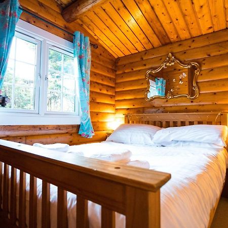 Woodpecker 3 Bedroom Trawsfyndd Holiday Village - Hosted By Seren Property Trawsfynydd ภายนอก รูปภาพ